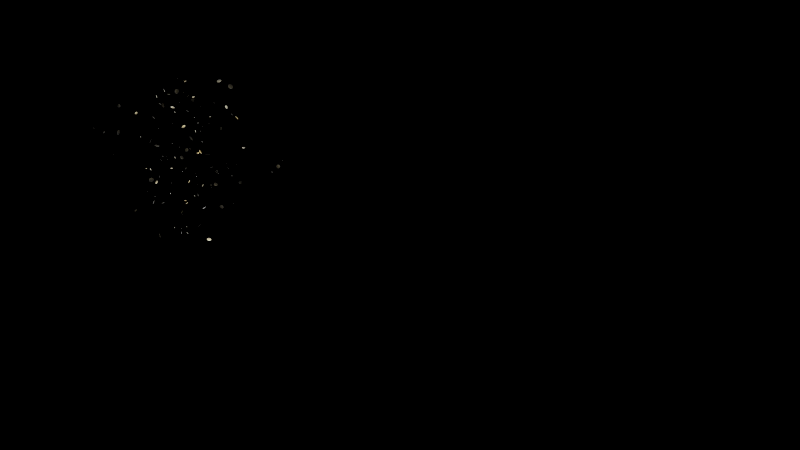 50 Years Animation